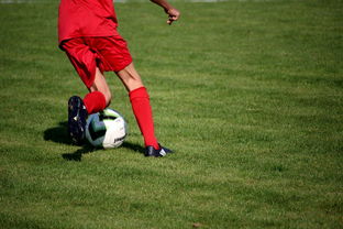 开云真人体育娱乐-女子足球裁判员培训体系完善提升赛事判罚质量，足球女裁判搞笑视频  第3张