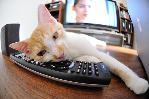 开云电竞官网-_复合场地公开赛：多样场地条件考验运动员适应能力_，复合型球场样块照片