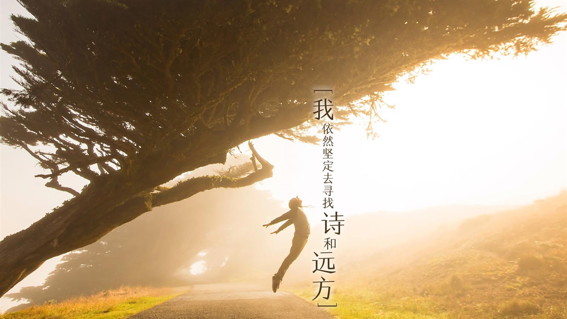 开云体育下载官网-_绿野仙踪：森林中的野外网球挑战_，2021绿野仙踪棒球服