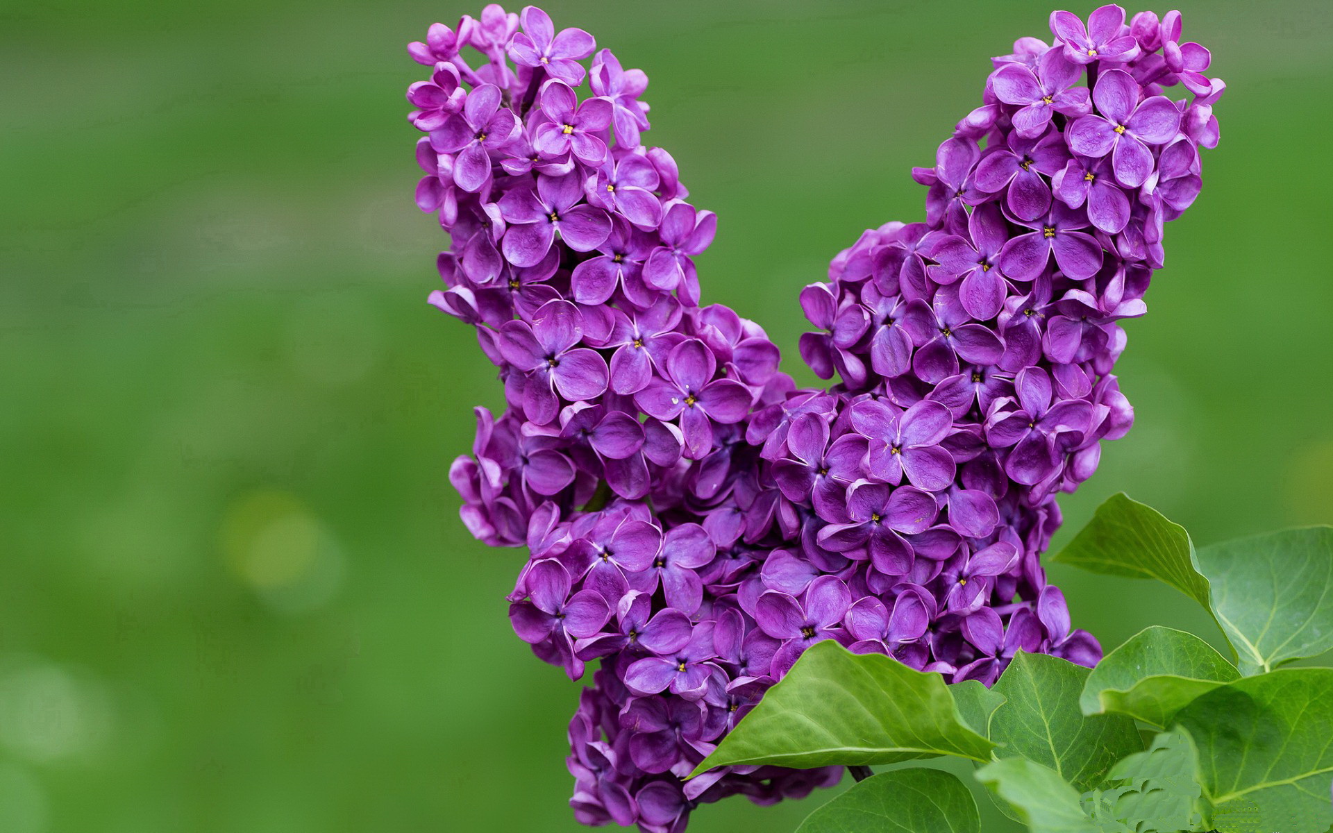 开云电竞平台-“经典对决:那些岁月里的巅峰比拼”,经典对应什么