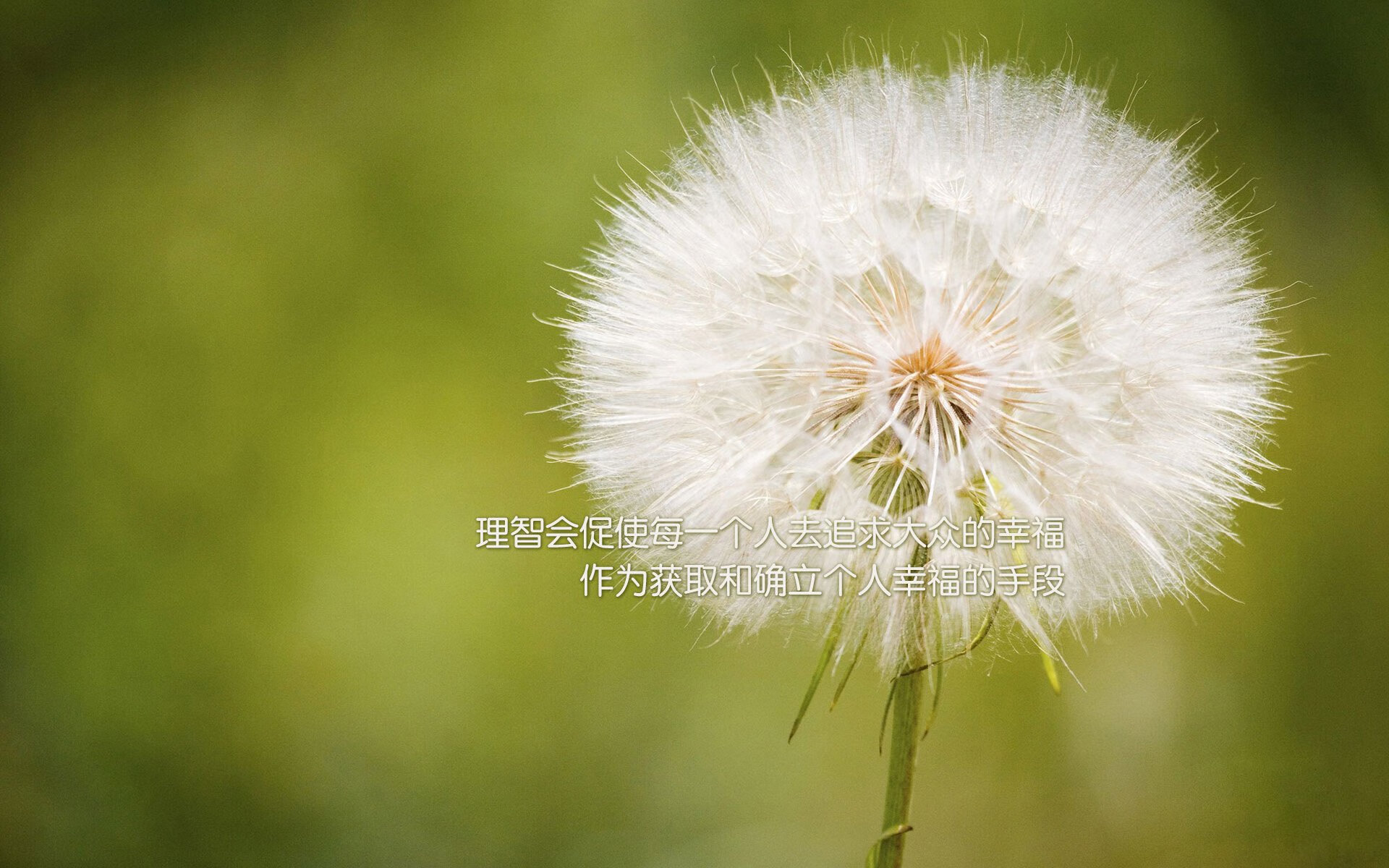 开云官网在线-《电竞经济新动力：虚拟商品与周边市场火爆》，电竞经济泛娱乐浪潮下的市场风口